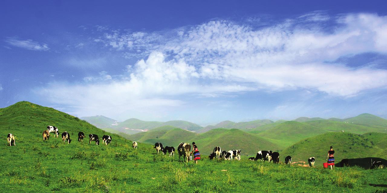 一步之城，萬(wàn)種風(fēng)情 ——《城步苗族自治縣旅游產(chǎn)業(yè)發(fā)展總體規(guī)劃及重點(diǎn)景區(qū)概念性規(guī)劃》