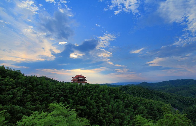 益陽竹海.jpg