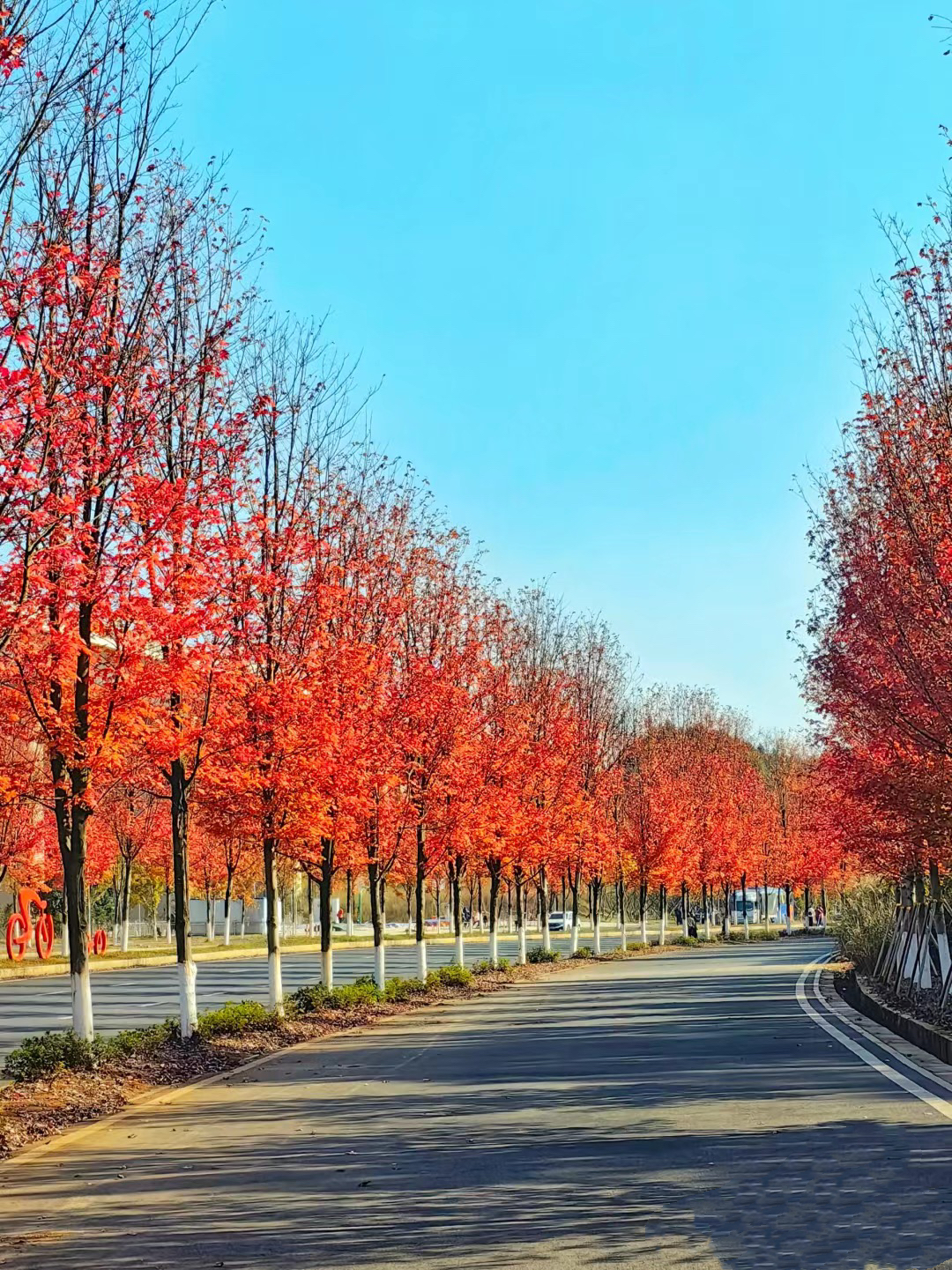已使用 益陽網(wǎng)紅大道，圖源于紅網(wǎng).jpg