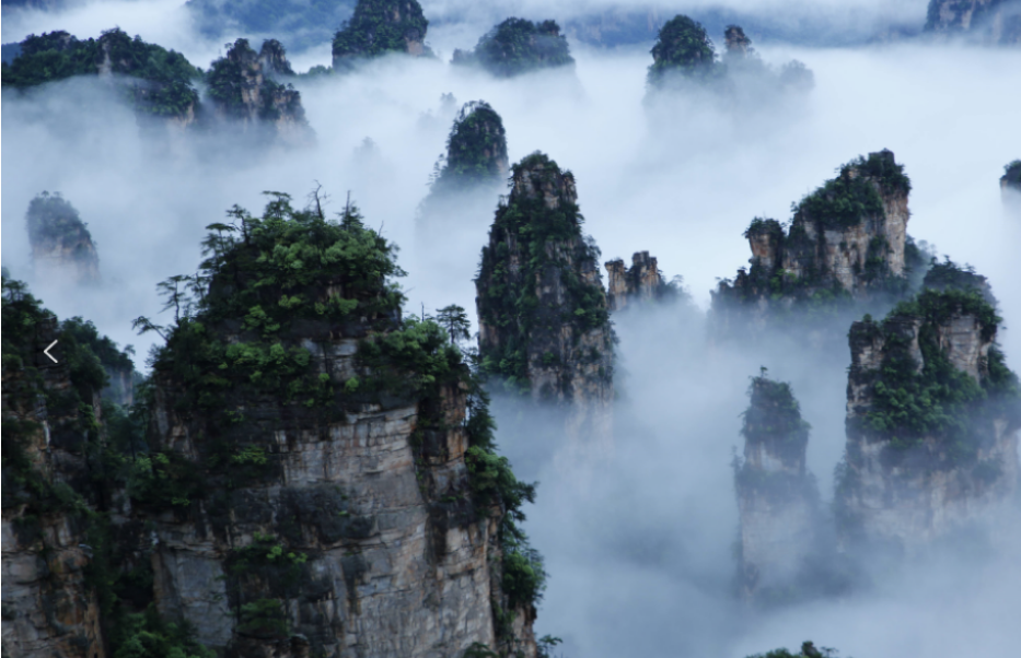 康養(yǎng)游大勢已至，張家界武陵源區(qū)點(diǎn)“藥”成金