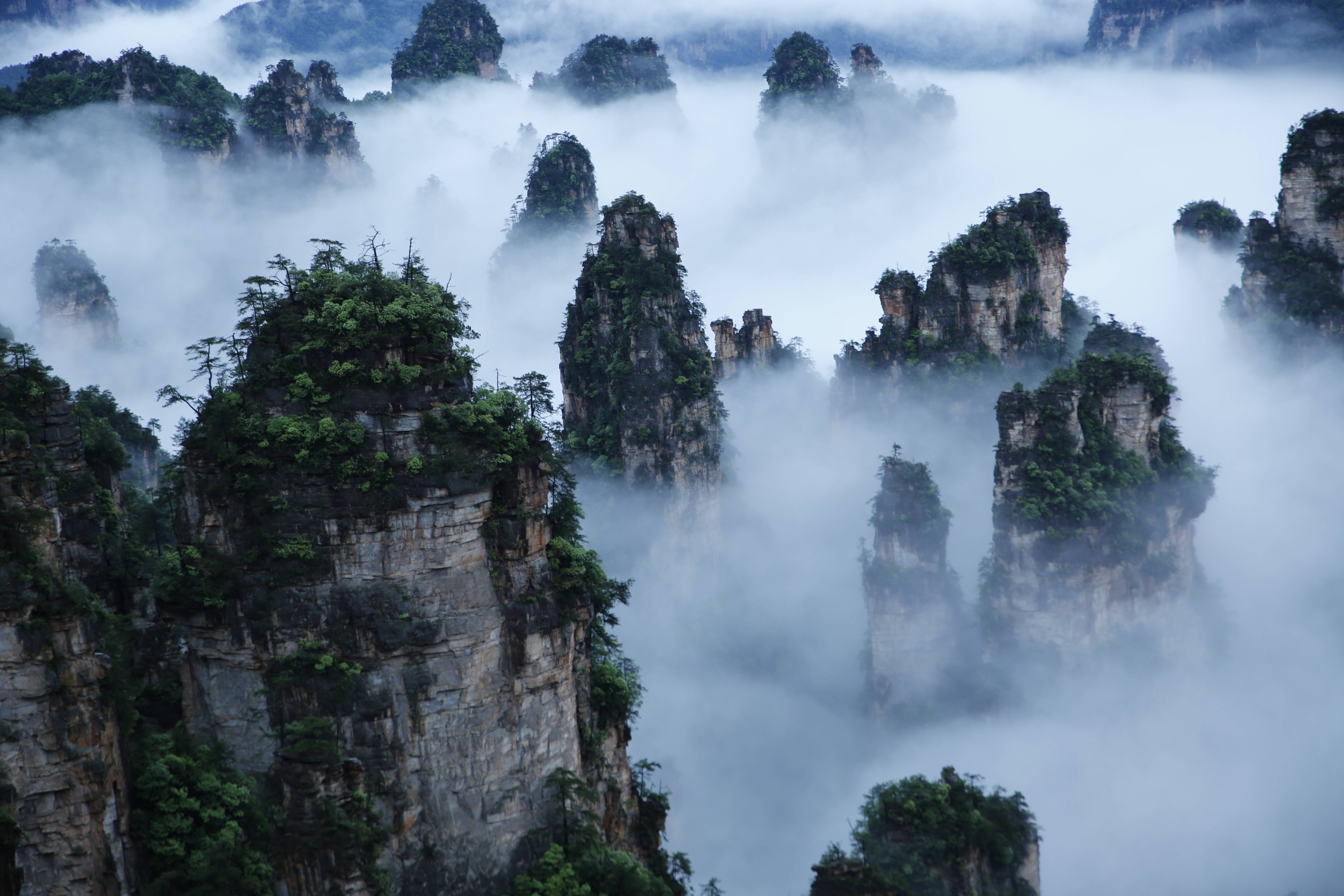 武陵源景區(qū)天子山云海，圖源：湖南日報.jpeg